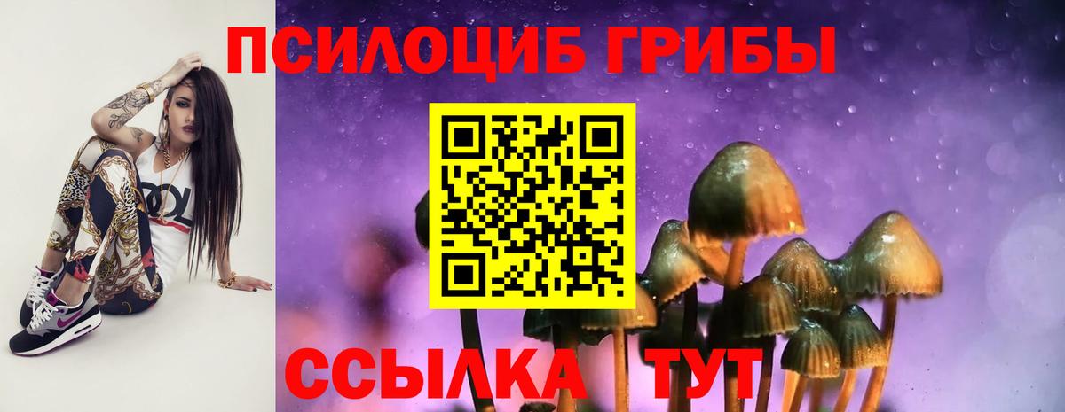 Галлюциногенные грибы мухоморы  купить наркотики сайты  Северск  Вход с VPN 